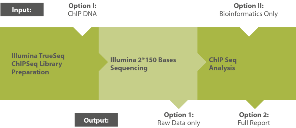 Workflow ChIP Seq