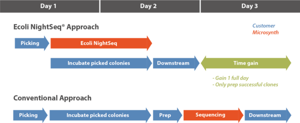 Timetable Ecoli NightSeq