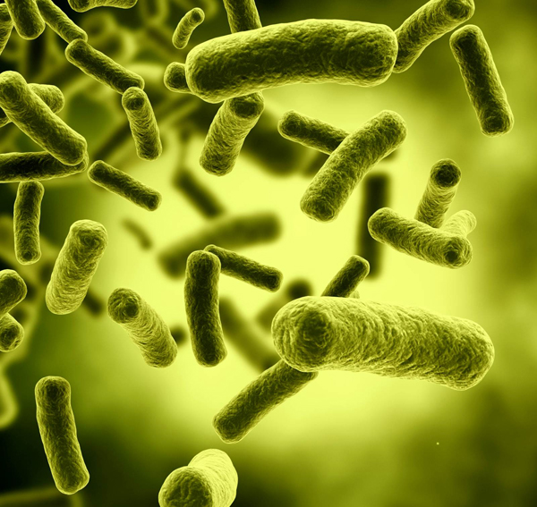 Ecoli NightSeq