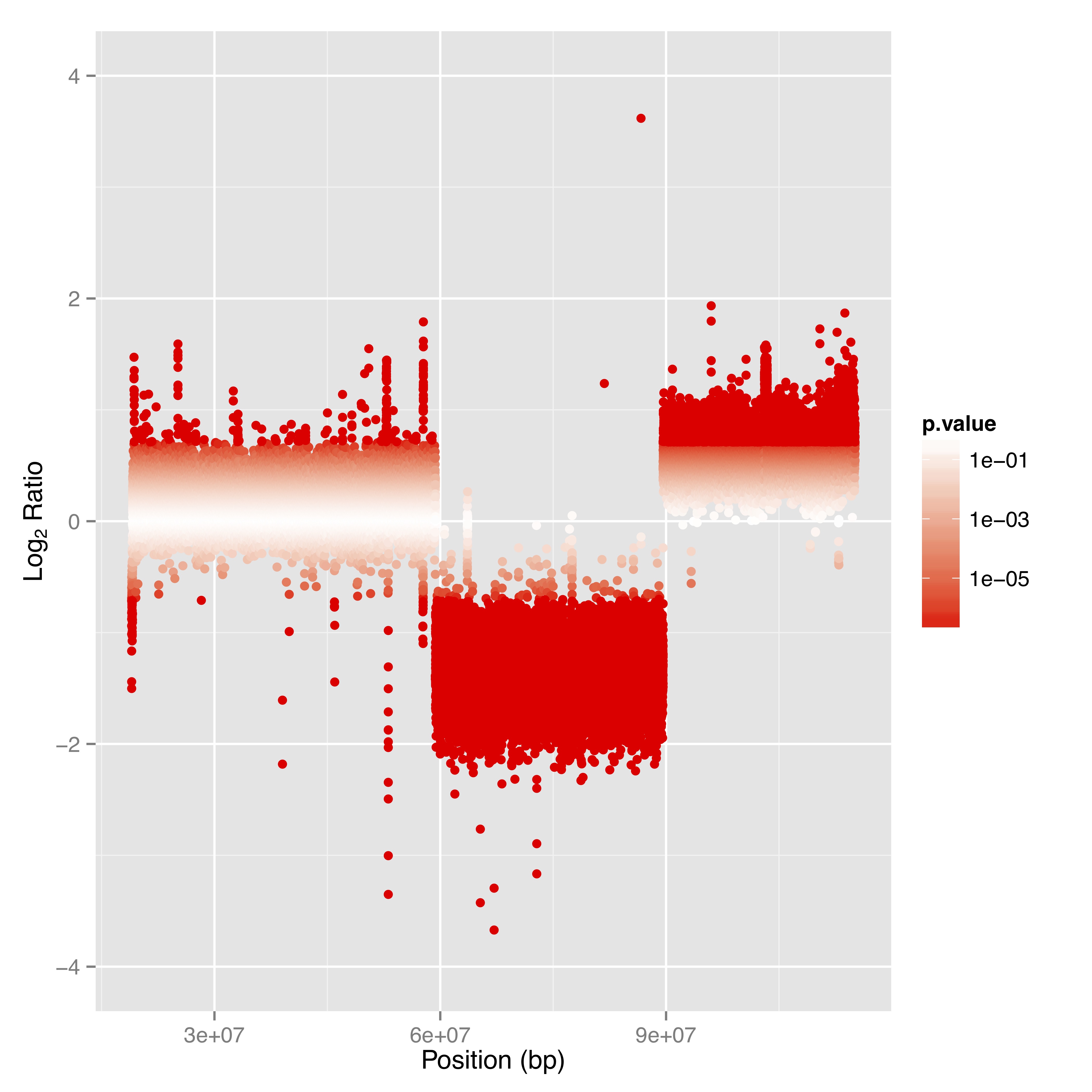 microsynth single tube sequencing