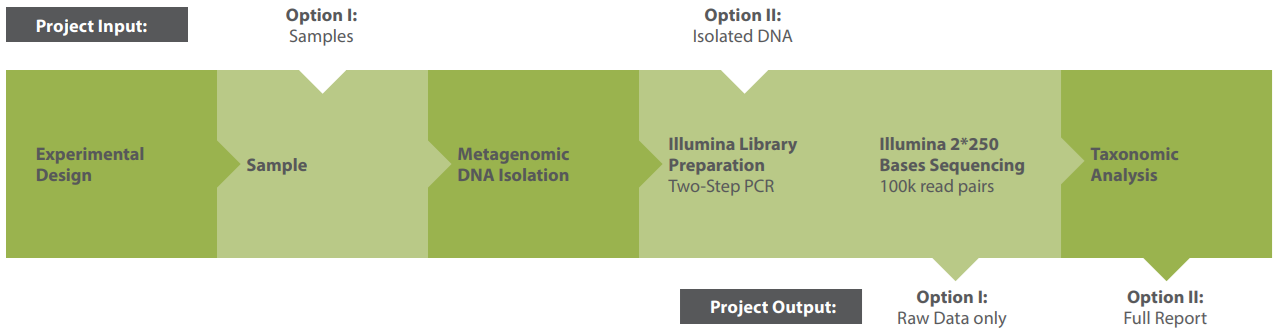 Workflow Amplicon Metagenomics