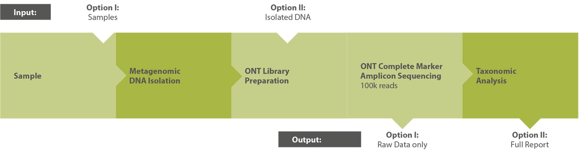 Workflow nanoCORE Amplicon Metagenomics